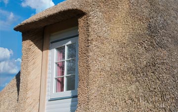 Aukside thatch roof disadvantages